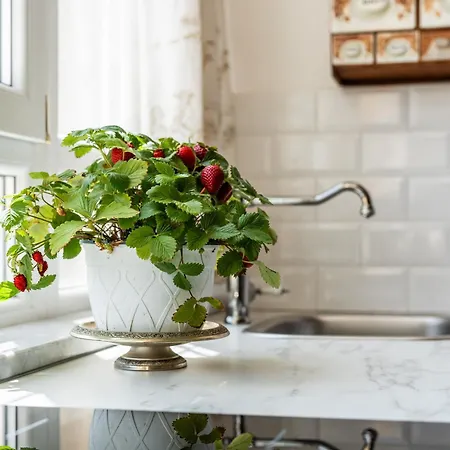 Appartamento Dependance '800